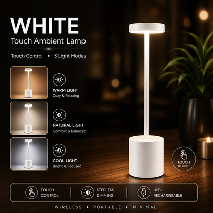 Metal Touch Sensor Rechargeable LED Desk Lamp