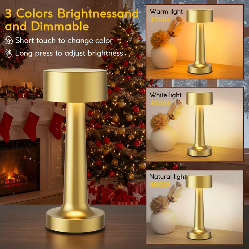 Rechargeable Decorative Table Lamp