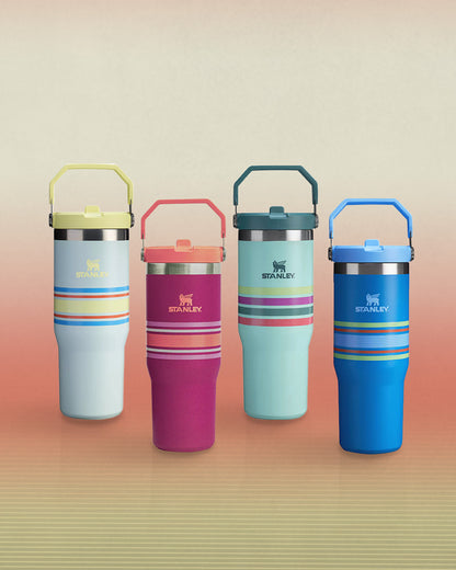 Versatile 30oz Stanley 900ML Flip Straw Tumbler