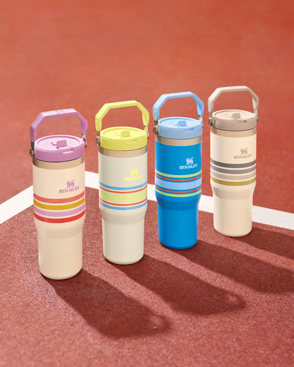 Versatile 30oz Stanley 900ML Flip Straw Tumbler